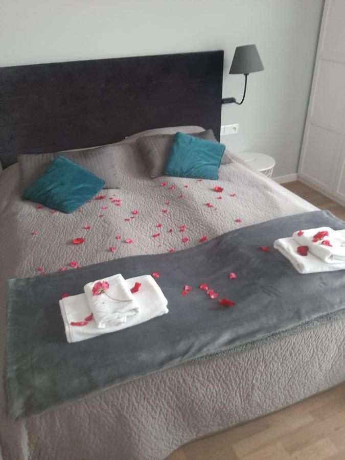 Apartamenty Koci Ogon Torun Bagian luar foto