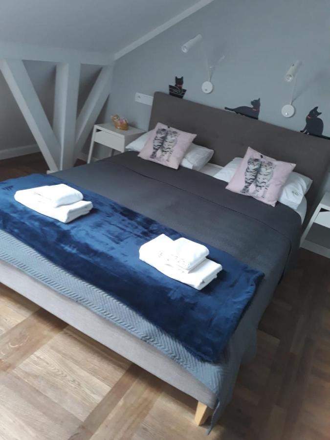 Apartamenty Koci Ogon Torun Bagian luar foto