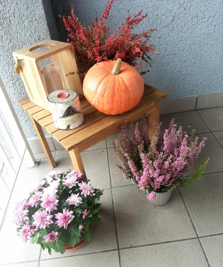 Apartamenty Koci Ogon Torun Bagian luar foto