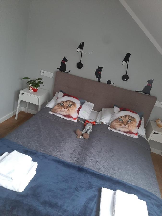 Apartamenty Koci Ogon Torun Bagian luar foto