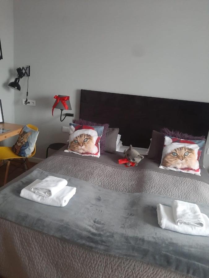 Apartamenty Koci Ogon Torun Bagian luar foto