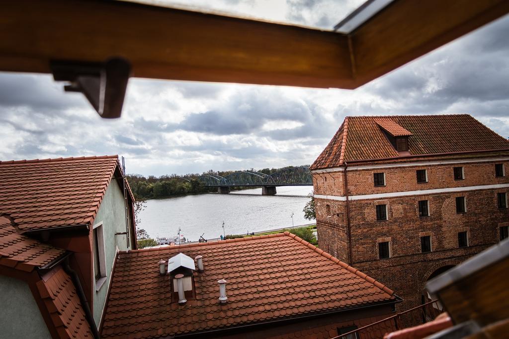 Apartamenty Koci Ogon Torun Bagian luar foto